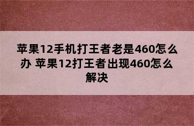 苹果12手机打王者老是460怎么办 苹果12打王者出现460怎么解决